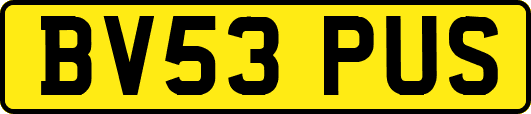 BV53PUS