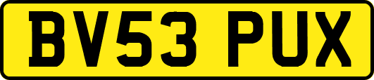 BV53PUX