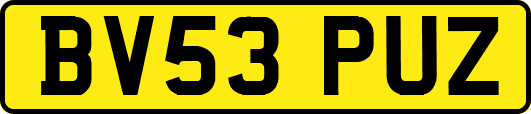 BV53PUZ