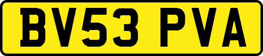 BV53PVA