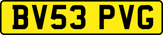 BV53PVG