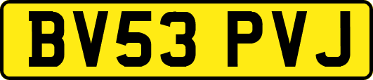 BV53PVJ