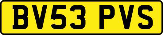 BV53PVS