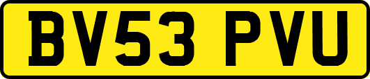 BV53PVU