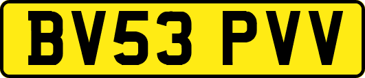 BV53PVV