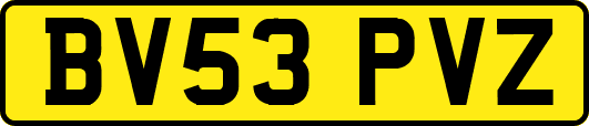BV53PVZ