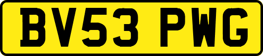 BV53PWG