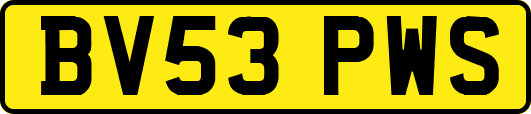 BV53PWS