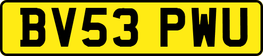 BV53PWU