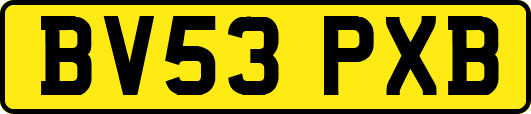 BV53PXB