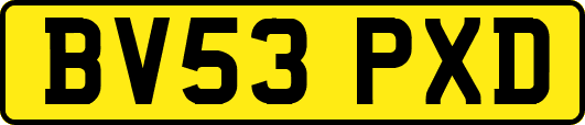 BV53PXD