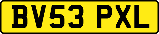 BV53PXL
