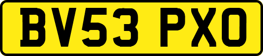 BV53PXO