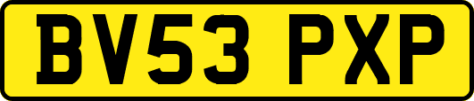 BV53PXP