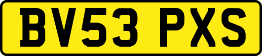 BV53PXS