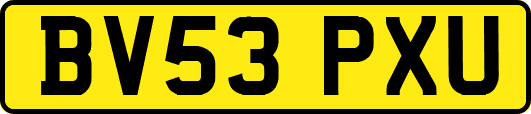 BV53PXU