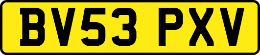 BV53PXV