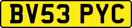 BV53PYC
