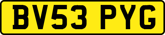 BV53PYG