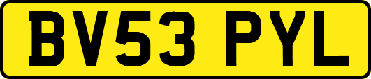 BV53PYL