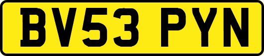 BV53PYN