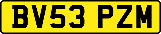 BV53PZM
