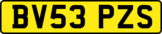 BV53PZS