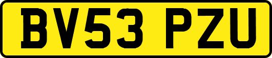 BV53PZU