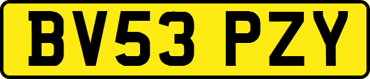 BV53PZY