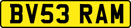BV53RAM