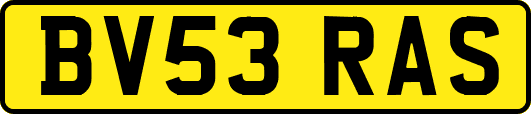 BV53RAS