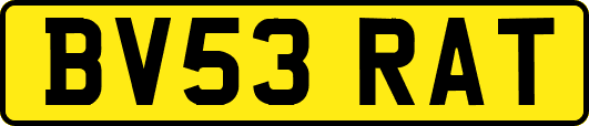 BV53RAT