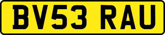 BV53RAU