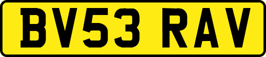 BV53RAV