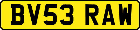 BV53RAW
