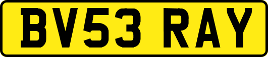 BV53RAY