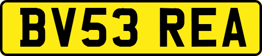 BV53REA