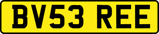 BV53REE