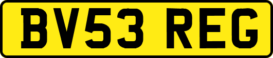 BV53REG