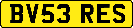 BV53RES