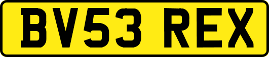 BV53REX
