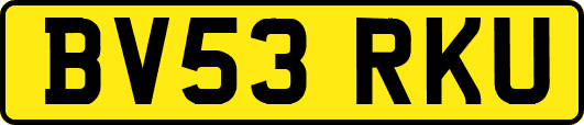 BV53RKU