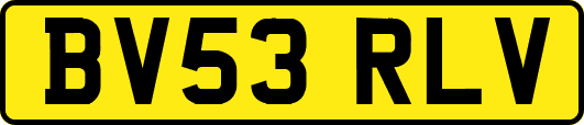 BV53RLV