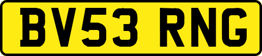 BV53RNG