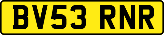 BV53RNR