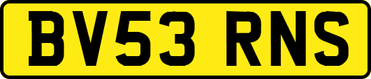 BV53RNS