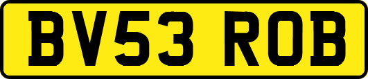 BV53ROB