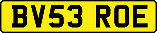 BV53ROE