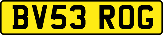 BV53ROG