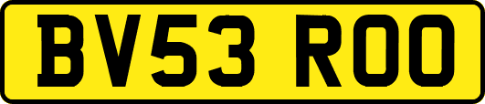 BV53ROO